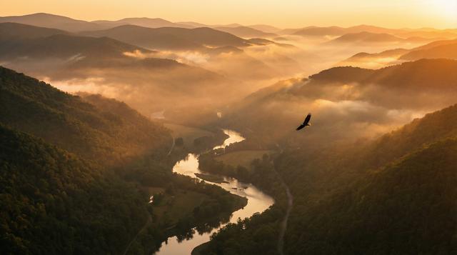 色虎视频航拍风光视频作品
